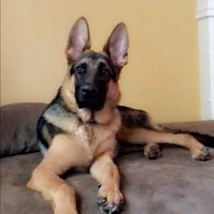 Meet your Posher, Keith